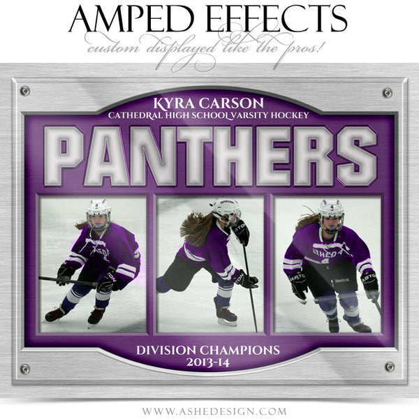 Ashe Design | Amped Effects | On Display Triptych web display4