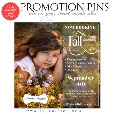 Timeline Promotional Pin | Fall Sessions