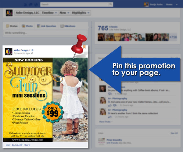 Timeline Promotional Pin | Summer Fun example