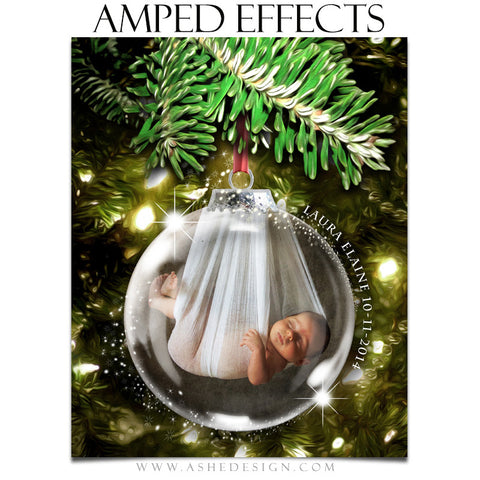 Ashe Design | Amped Effects Photography Templates | Star Dust Glass Ornament 2