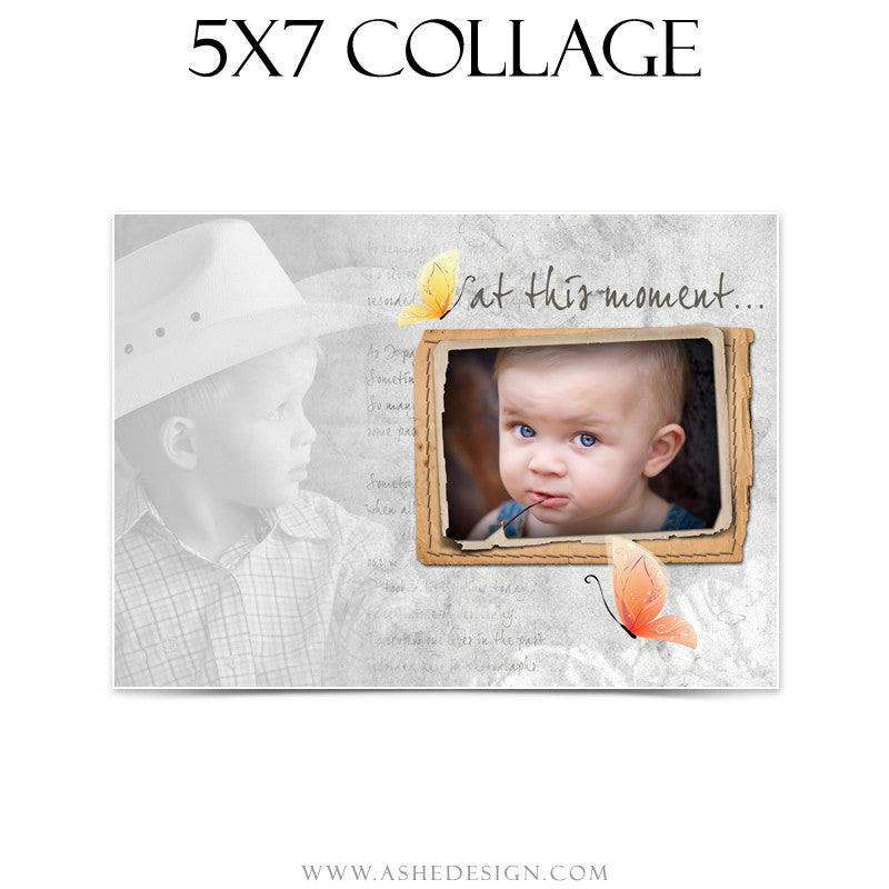 Subtle Focus - Moments4 5x7 Collage web display