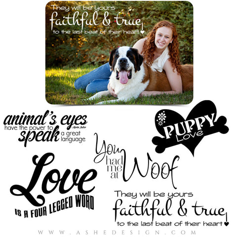 Pet Word Art Quotes - Puppy Love